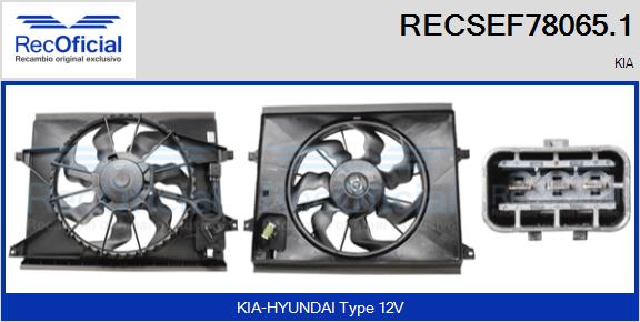 RECOFICIAL RECSEF78065.1 RECOFICIAL RECSEF78065.1