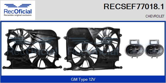 RECOFICIAL RECSEF77018.1 RECOFICIAL RECSEF77018.1