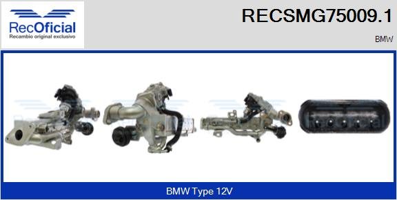 RECOFICIAL RECSMG75009.1