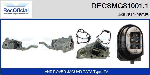 RECOFICIAL RECSMG81001.1