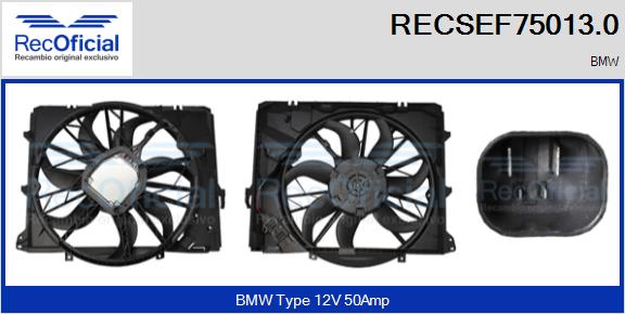 RECOFICIAL RECSEF75013.0 RECOFICIAL RECSEF75013.0