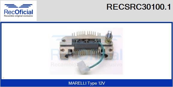 RECOFICIAL RECSRC30100.1