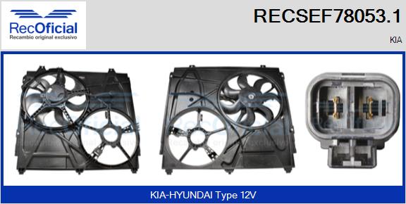 RECOFICIAL RECSEF78053.1 RECOFICIAL RECSEF78053.1