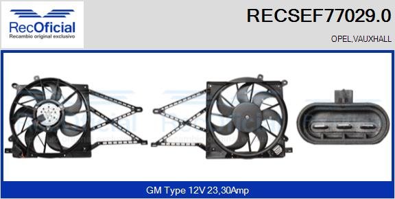 RECOFICIAL RECSEF77029.0 RECOFICIAL RECSEF77029.0