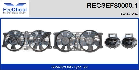 RECOFICIAL RECSEF80000.1 RECOFICIAL RECSEF80000.1
