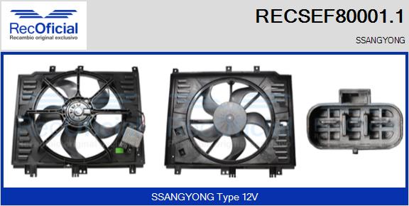 RECOFICIAL RECSEF80001.1 RECOFICIAL RECSEF80001.1