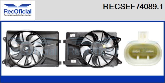 RECOFICIAL RECSEF74089.1 RECOFICIAL RECSEF74089.1