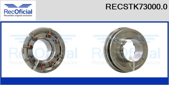 RECOFICIAL RECSTK73000.0