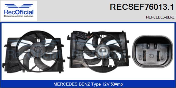 RECOFICIAL RECSEF76013.1 RECOFICIAL RECSEF76013.1