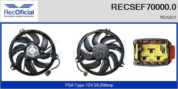 RECOFICIAL RECSEF70000.0 RECOFICIAL RECSEF70000.0