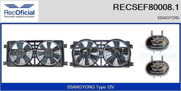 RECOFICIAL RECSEF80008.1 RECOFICIAL RECSEF80008.1