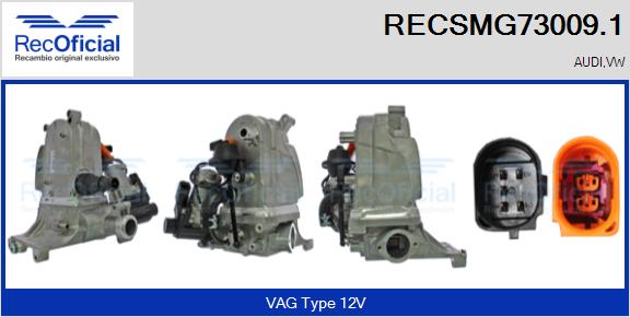 RECOFICIAL RECSMG73009.1