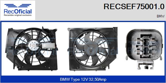 RECOFICIAL RECSEF75001.0 RECOFICIAL RECSEF75001.0