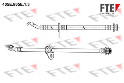 FTE 405E.865E.1.3