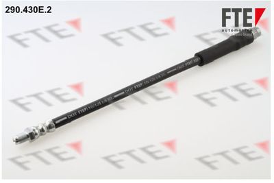 FTE 290.430E.2