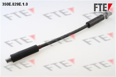 FTE 350E.829E.1.0