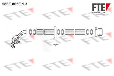 FTE 586E.865E.1.3