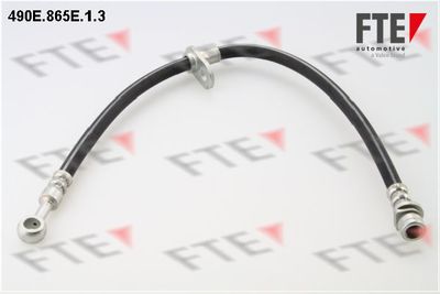 FTE 490E.865E.1.3