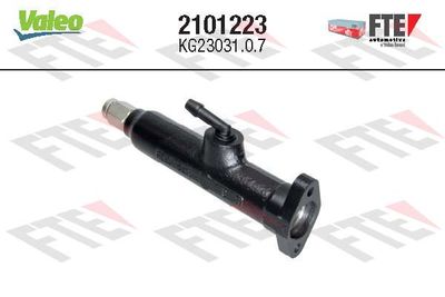 FTE 2101223