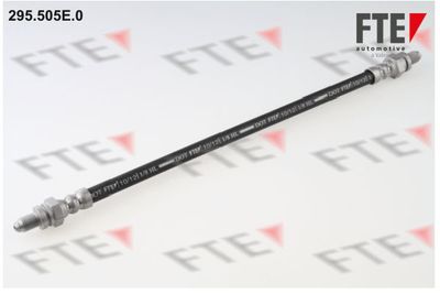 FTE 295.505E.0