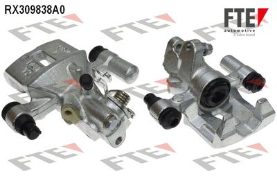 FTE RX309838A0 FTE RX309838A0