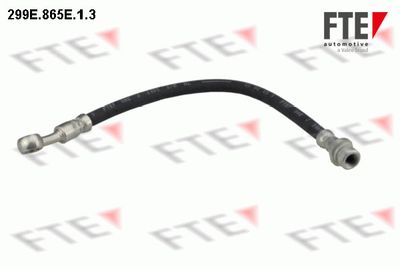 FTE 299E.865E.1.3