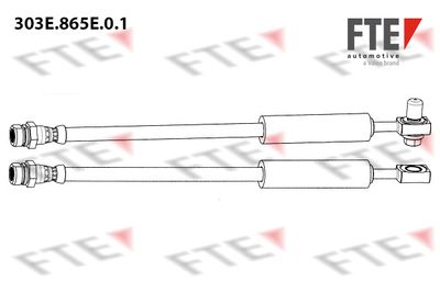 FTE 303E.865E.0.1