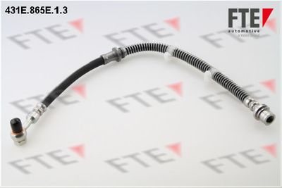 FTE 431E.865E.1.3