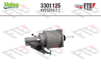 FTE 3301125 FTE 3301125