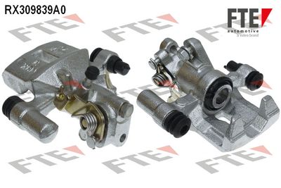 FTE RX309839A0 FTE RX309839A0