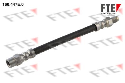 FTE 160.447E.0