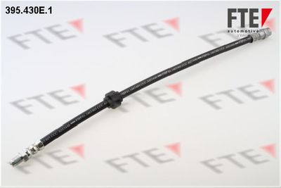 FTE 395.430E.1