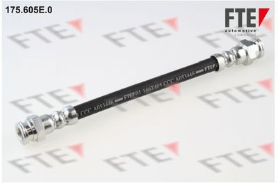 FTE 175.605E.0