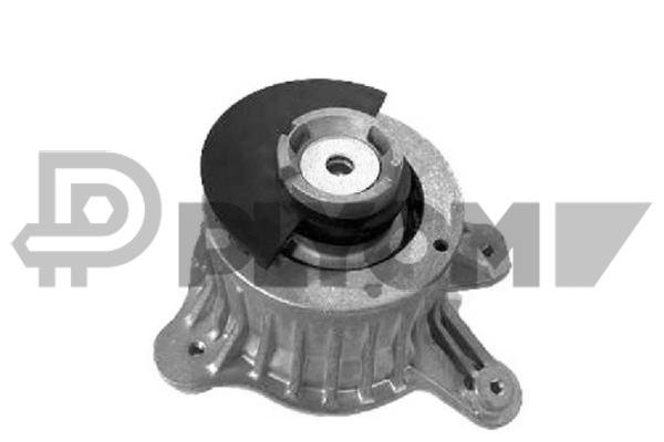 PLYOM P774890 PLYOM P774890