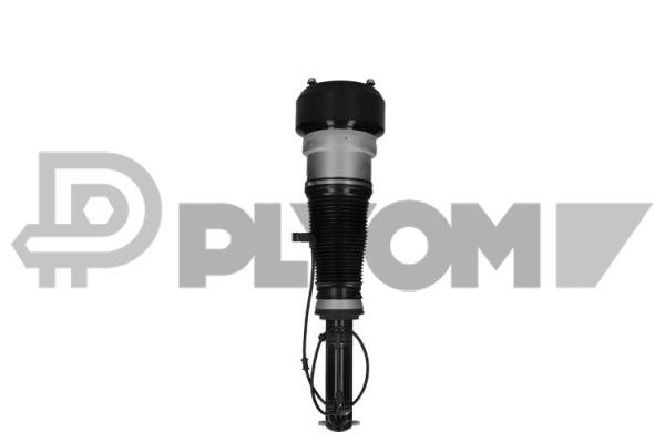 PLYOM P751962