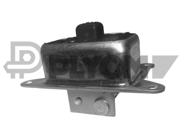 PLYOM P480313