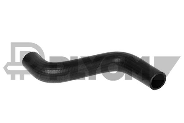 PLYOM P754205 PLYOM P754205