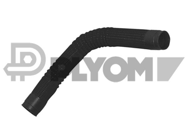 PLYOM P486539