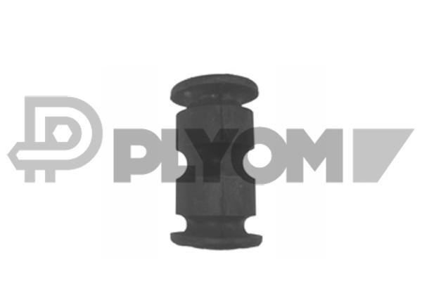 PLYOM P020899