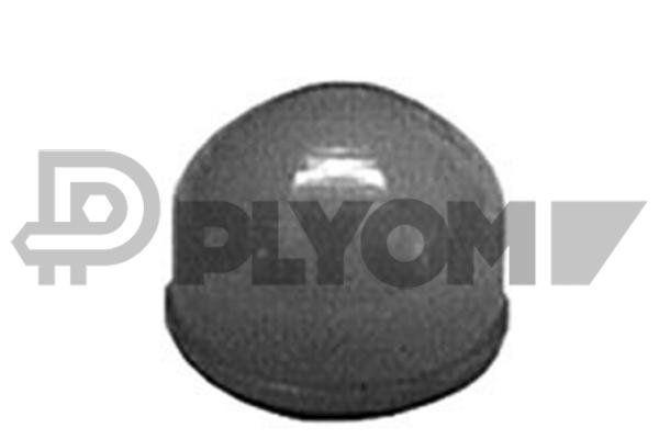 PLYOM P010615