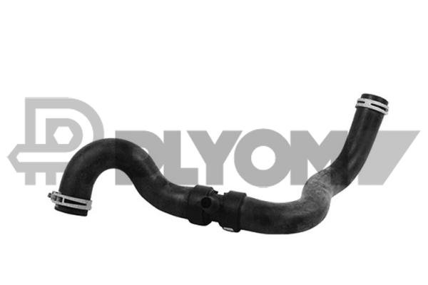 PLYOM P753810 PLYOM P753810