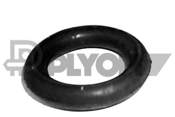 PLYOM P120016