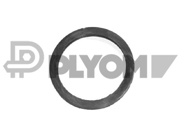 PLYOM P952047