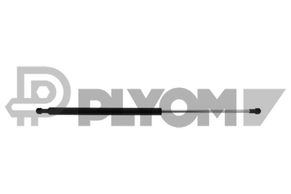 PLYOM P772894