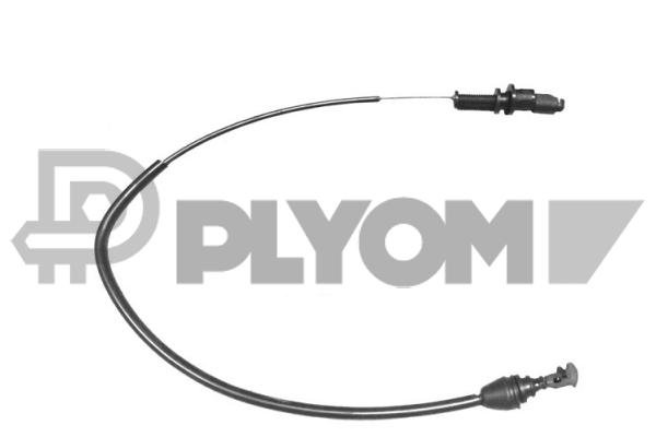 PLYOM P028336