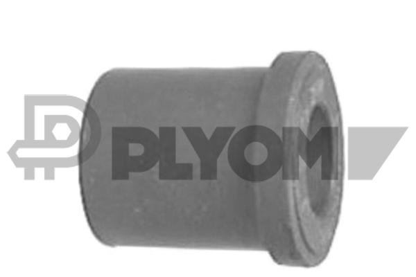 PLYOM P766663