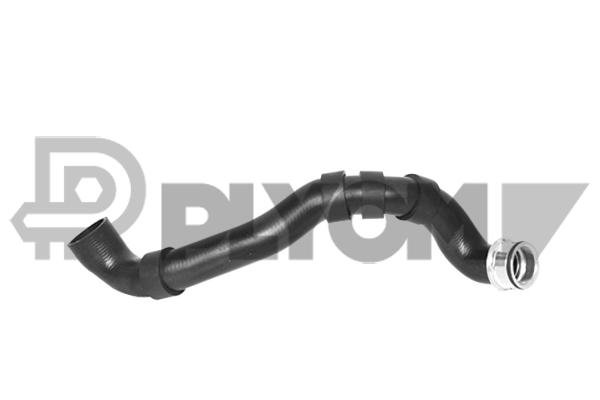 PLYOM P753297 PLYOM P753297