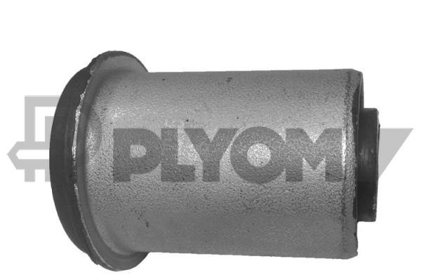 PLYOM P755393