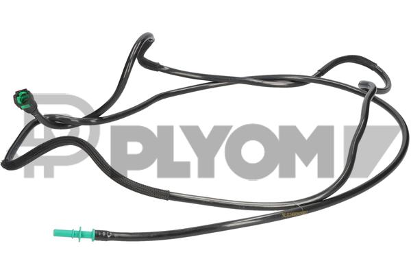 PLYOM P777043