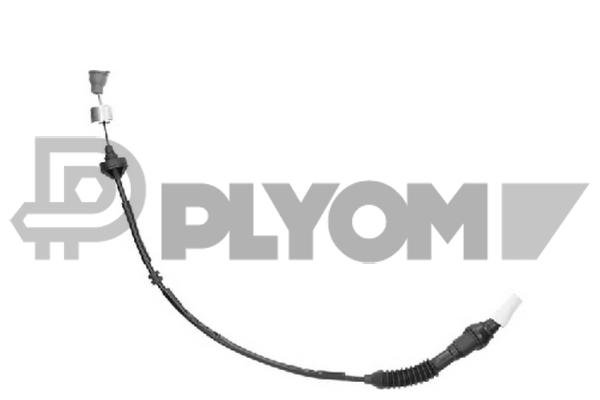 PLYOM P038450